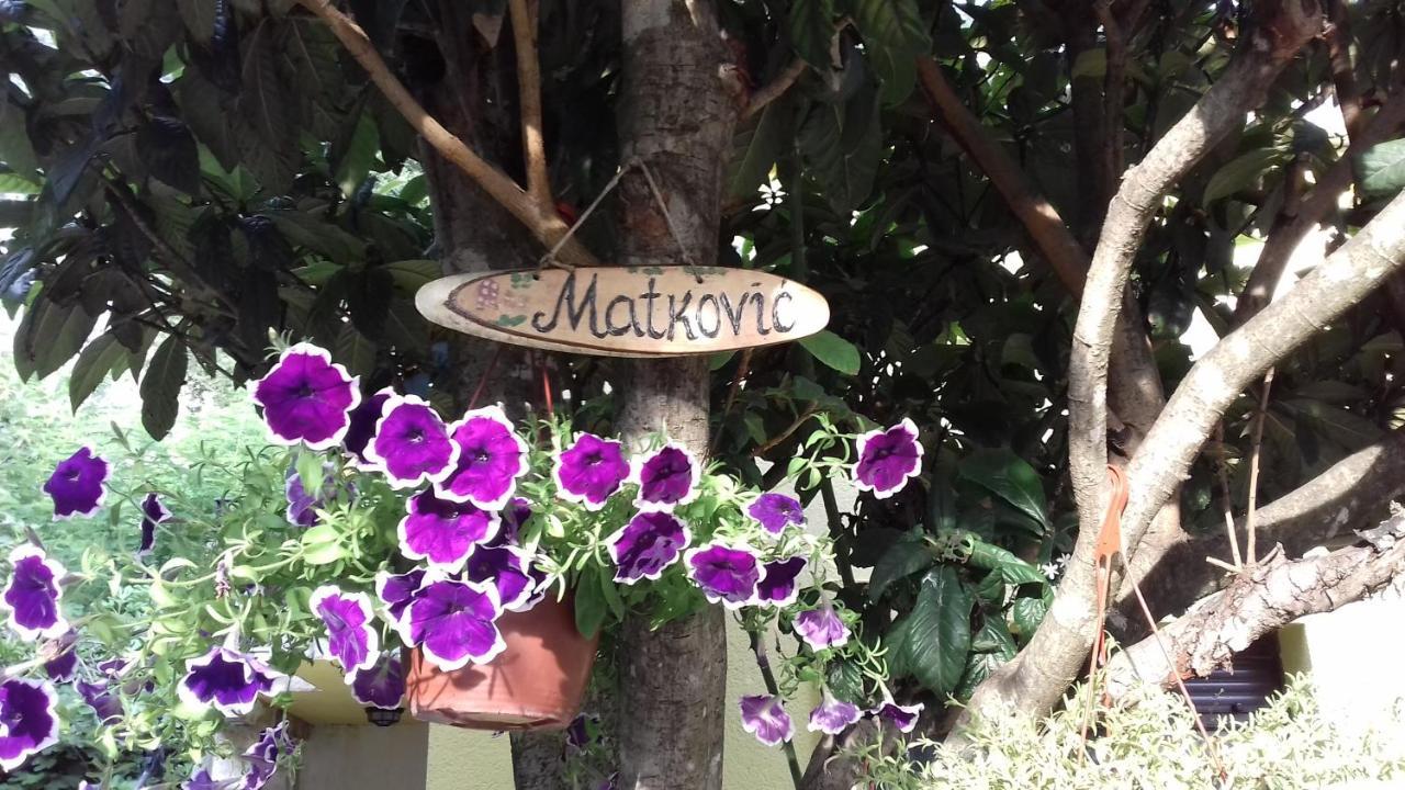 Apartments Matkovic Κότορ Εξωτερικό φωτογραφία