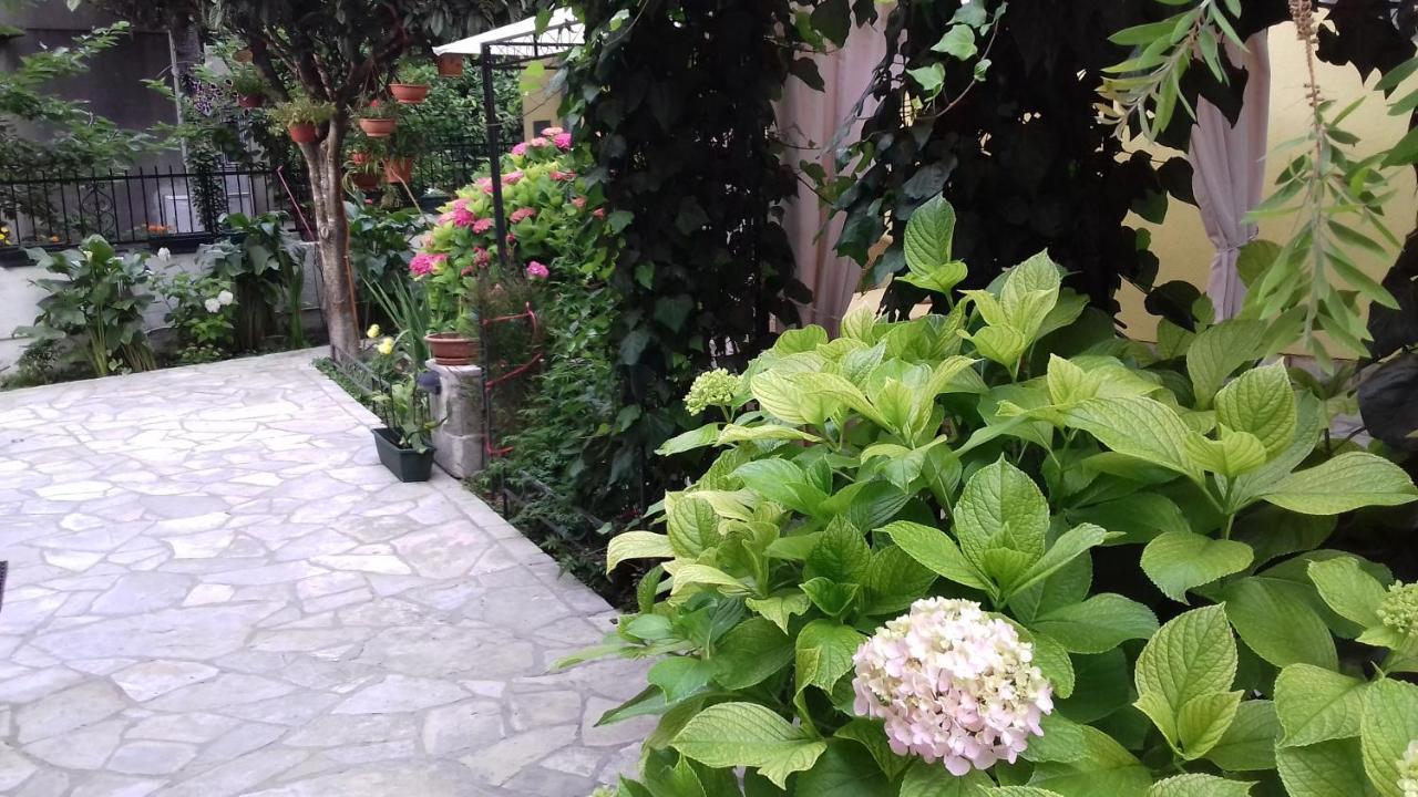 Apartments Matkovic Κότορ Εξωτερικό φωτογραφία