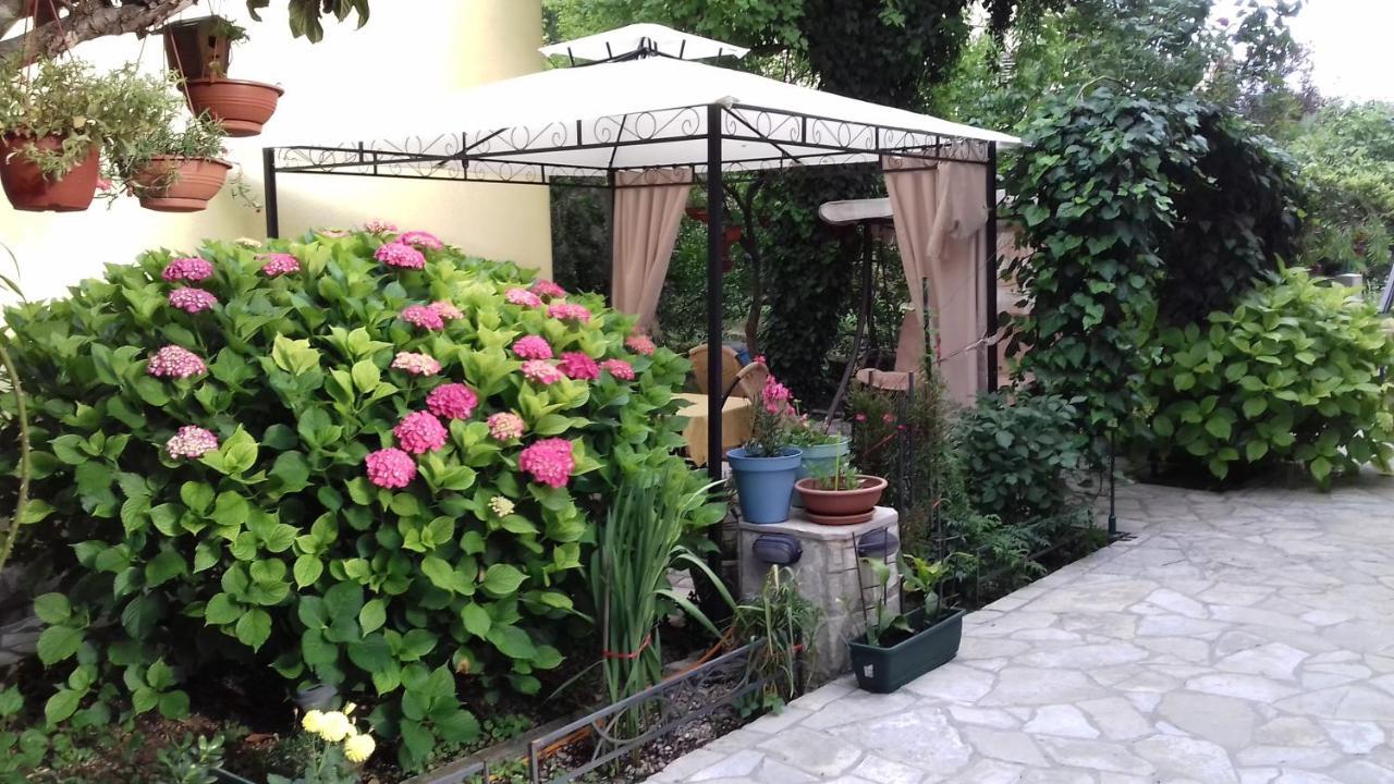 Apartments Matkovic Κότορ Εξωτερικό φωτογραφία