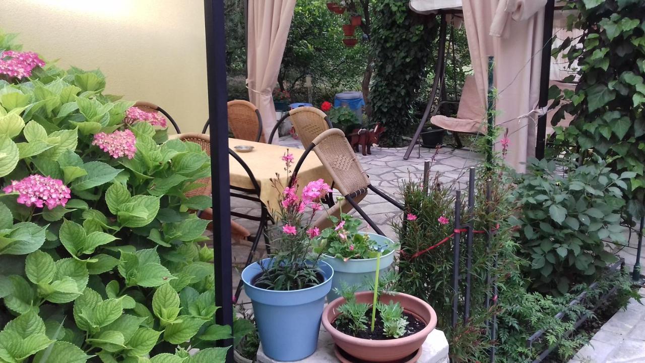 Apartments Matkovic Κότορ Εξωτερικό φωτογραφία